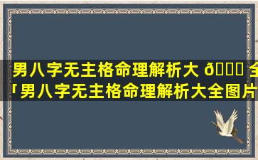 男八字无主格命理解析大 🐎 全「男八字无主格命理解析大全图片」